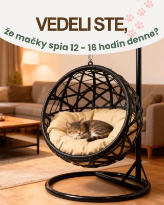 Keď už trávia toľko času oddychom, prečo im nedopriať luxus? 😴 Náš BLACK FRIDAY 🖤 je tu presne na to! Využite zľavy na...